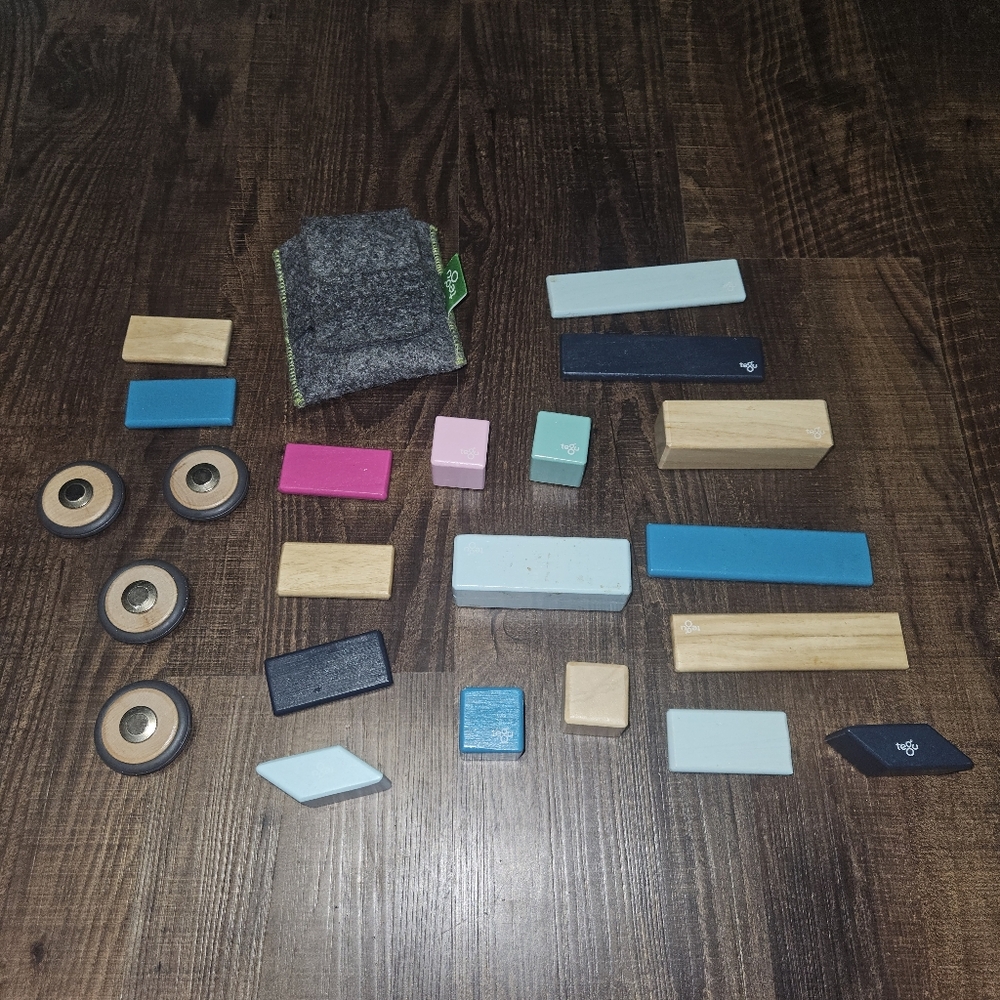 Tegu Magnetic Wooden Blocks